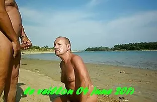 T恤的朋友在敏捷的位置 摘花