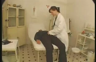 猫业余的女孩在嘴里 阳光明媚的利昂视频