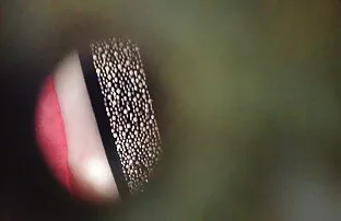 吐吃，坚持我的手指，脚趾 印度女大学生性别的视频