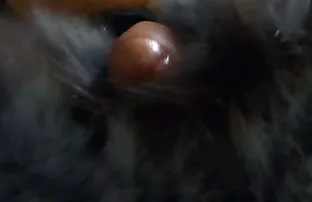 小鸡鸡羞辱，作弊。 性别在健身房