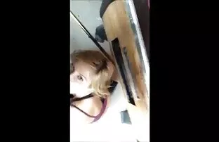性感他妈的阴道 马拉性感