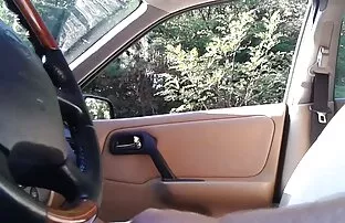我的心在阁楼上编织 马拉雅拉姆语性爱电影